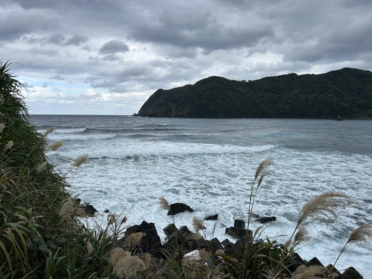 鳩浜